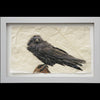 Raven gampi print in white frame by Pete Zaluzec