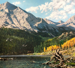 Rocky-Mountain-High-colroado-