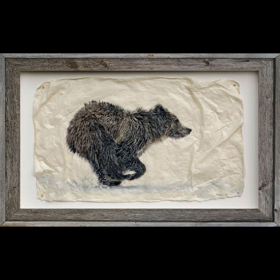 Running grizzly bear wildlife gampi print by artist Pete Zaluzec