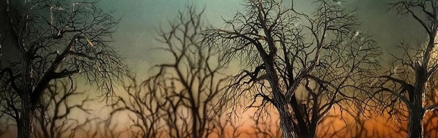 Safari by Artist Christopher Owen Nelson
