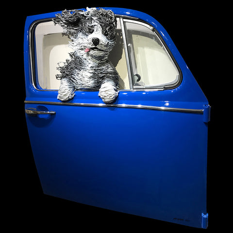 Sheepdog in a Blue VW Door