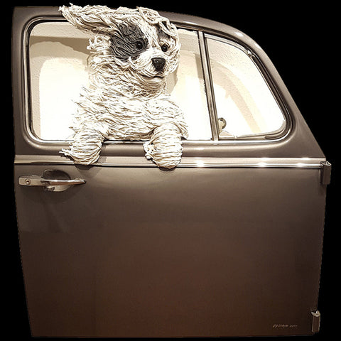 Sheepdog in a Grey VW Door