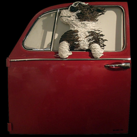 Sheepdog in a Red VW Door