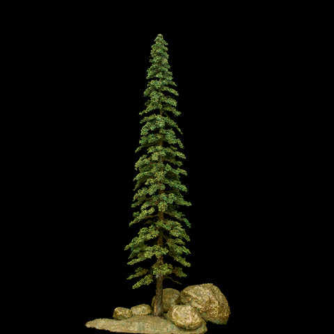 Single Pine