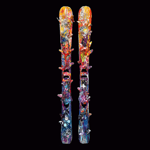 Skiing Delight