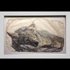 Snooze sleeping wolf wildlife photo gampi print by artist Pete Zaluzec in white frame