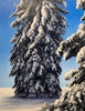 winter tree painting artist thane gorek