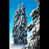 Snow Giants original painting by Thane Gorek for sale at Raitman Art Galleries located in Breckenridge and Vail Colorado