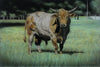sunday original farm animal bronze patina by artist Nathan Bennett