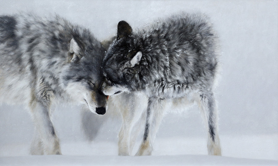 The Return by artist Doyle Hostetler wolf wildlife oil painting