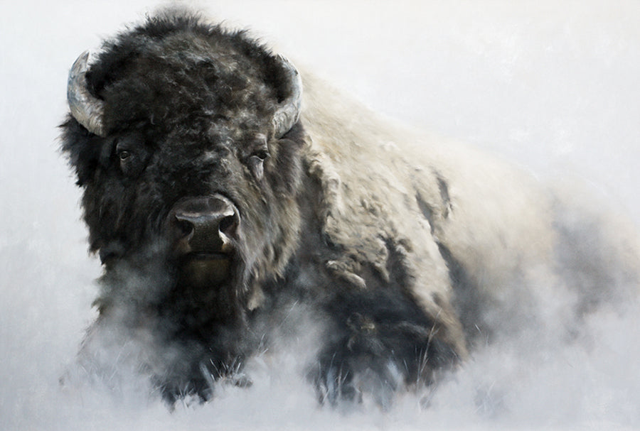 The Thunder Rolls by artist Doyle Hostetler Buffalo wildlife oil painting