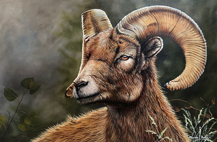 Tanngnjóstr oil on canvas wildlife sheep painting by Colorado artist Maxine Bone