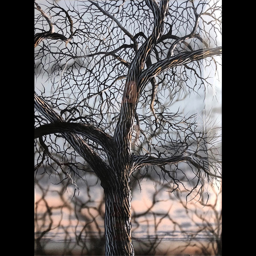Thawing Out Christopher Owen Nelson