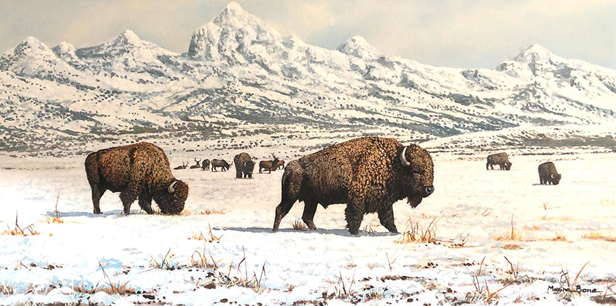 The Open Plains original oil on canvas winter landscape with wild bison by Colorado artist Maxine Bone