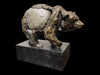 Tiptoe Bronze River Stone Grizzly Sculpture by Gampi Artist Pete Zaluzec