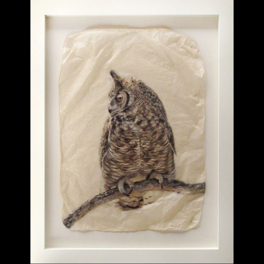 Unconcerned owl photo gampi print in white frame created by Pete Zaluzec