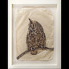 Unconcerned owl photo gampi print in white frame created by Pete Zaluzec