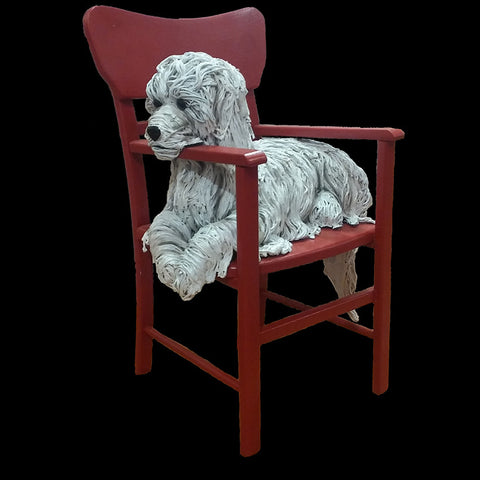 White Dog on a Red Chair