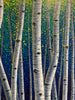 aspen grove painting 