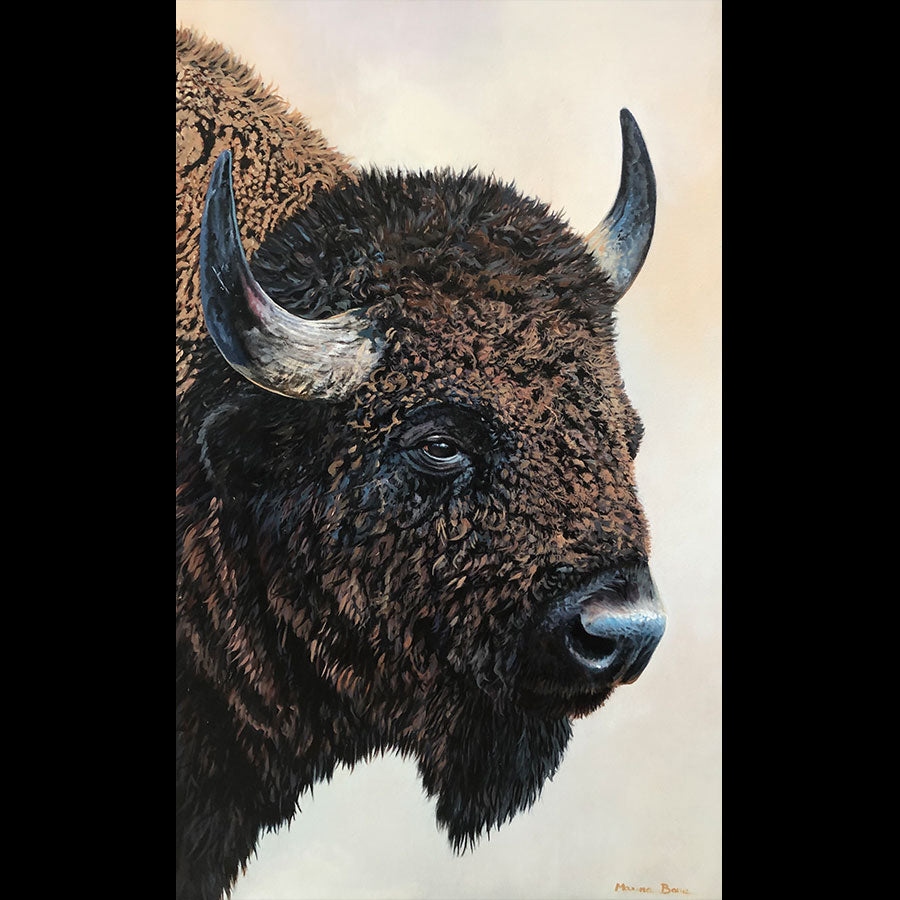 Bison Portrait original oil on canvas bison wildlife painting by Colorado artist Maxine Bone
