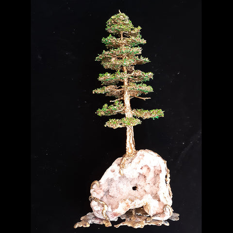 Bronze Pine