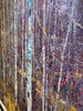 October Stand detailed image of the painting by artist Robert Moore