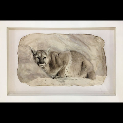 Cougar #2