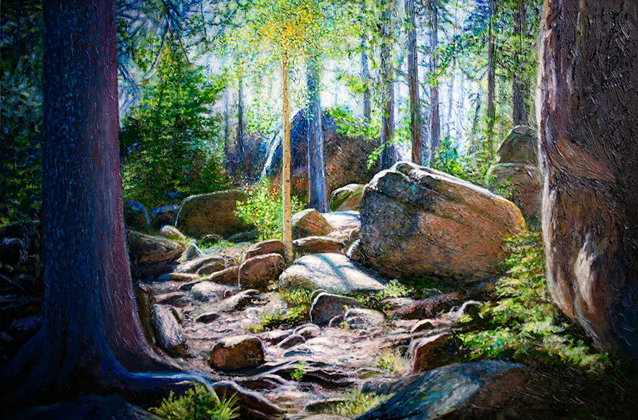 Deep Forest Light forest landscape by artist Thane Gorek