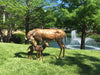 Life Size Doe and Fawn bronze sculpture by artist Marianne Caroselli