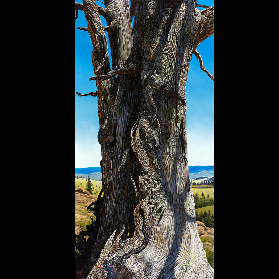 Old Tree original oil on canvas painting by Colorado artist Thane Gorek