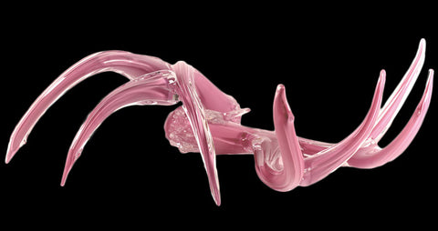 Antler Set Pink Glass