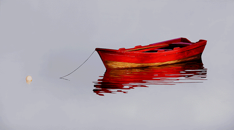 Red Rower, Red Rower
