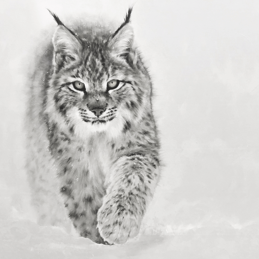 snow-cat_doyle-hostetler-wildlife-oil-painting-lynx