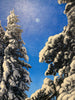 Snow Giants thane gorek winter landscape painting